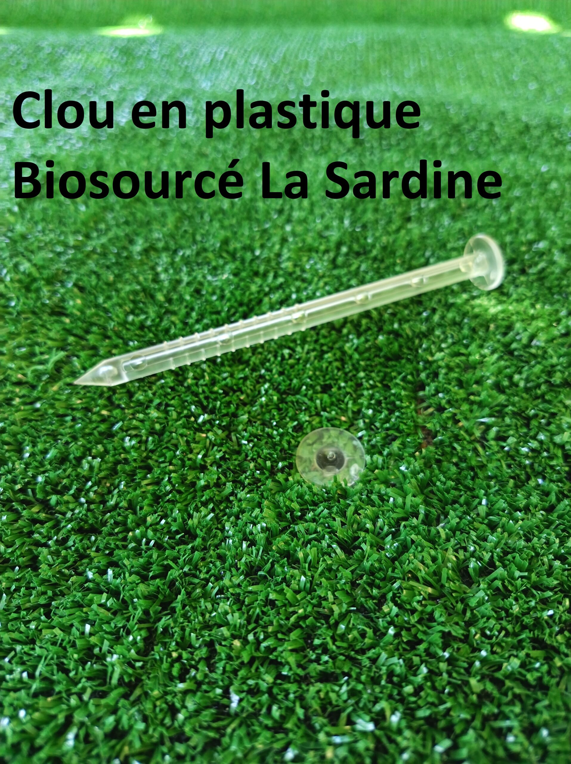 Photo montrant un clou en plastique bio sourcé transparent, fixant du gazon synthétique au sol. Fabriqué par la société SEI Sarl